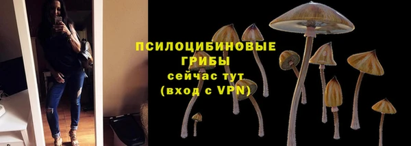 крисы Наволоки