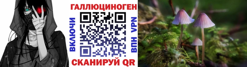 Галлюциногенные грибы MAGIC MUSHROOMS  Спасск-Рязанский 